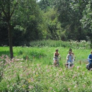 Bij Bruurs - goedkope-singlereizen.nl