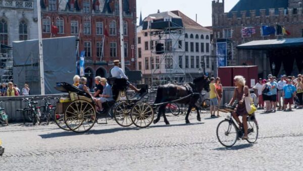 Hotel De Zwaan Schoondijke - goedkope-singlereizen.nl