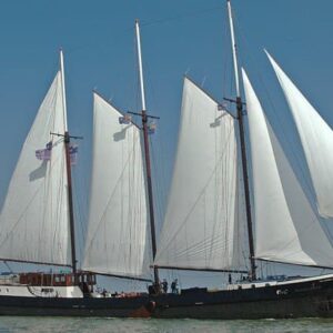 8 dagen Fiets- en zeiltour Waddenzee - goedkope-singlereizen.nl