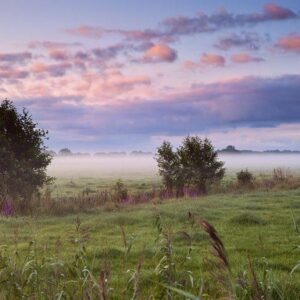 Wandelvakantie over de Hondsrug - goedkope-singlereizen.nl