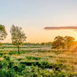 Fietsvakantie Zuidelijk Twente-Noordelijke Achterhoek - goedkope-singlereizen.nl