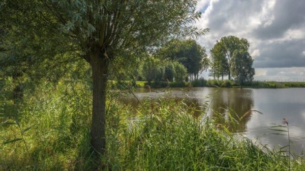 Hotel Restaurant De Zwaan Raalte - goedkope-singlereizen.nl