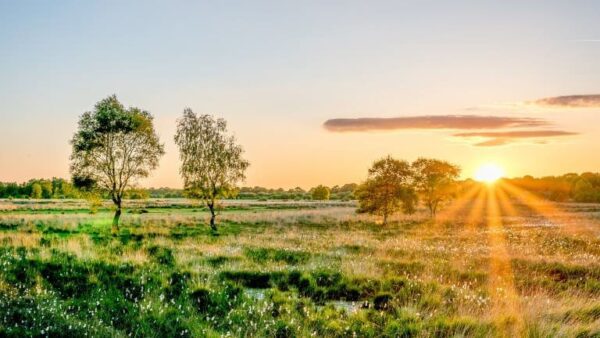 Fietsvakantie Zuidelijk Twente-Noordelijke Achterhoek - goedkope-singlereizen.nl