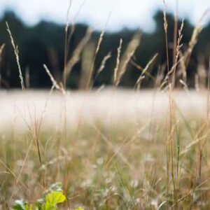 Buitenplaats de Bergse Bossen - goedkope-singlereizen.nl